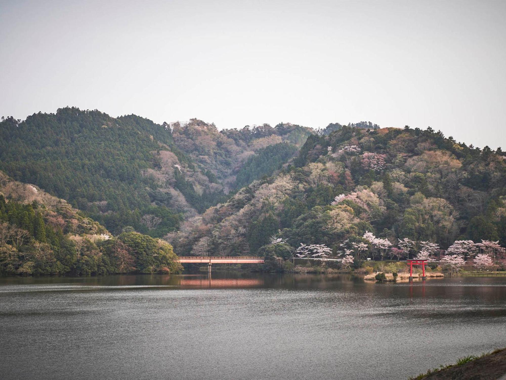 קימיצו Kameyama Onsen Hotel מראה חיצוני תמונה
